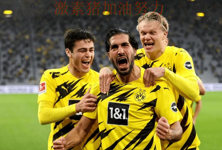 多特蒙德进攻升级备受关注